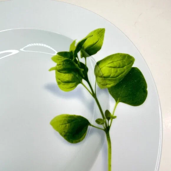 Crate & Barrel Herb Motif Porcelain Dinner Plates Set Of 2 - Picture 3 of 9